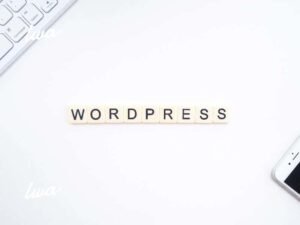 Páginas Web en Wordpress